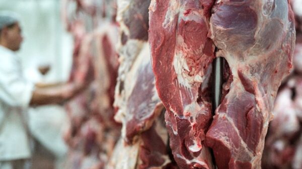 Preço da carne bovina cai cerca de 30% em Passo Fundo, município do Rio Grande do Sul, em 2023; efeitos já são vistos a olho nu tanto para consumidores quanto para produtores do corte.